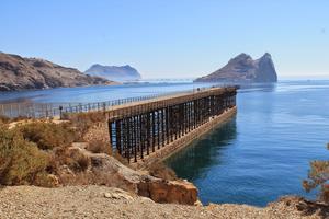 Aguilas Aguilas