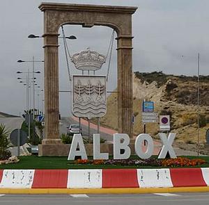 Albox