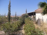 VIP1898: Villa for Sale in Albox, Almería