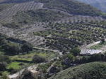VIP7199: Cortijo for Sale in Mojacar Playa, Almería VIP7199: Cortijo for Sale in Mojacar Playa, Almería