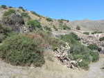 VIP7200: Cortijo for Sale in Mojacar Playa, Almería VIP7200: Cortijo for Sale in Mojacar Playa, Almería