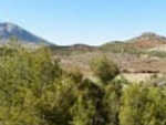 VIP7209: Cortijo for Sale in Velez-Rubio, Almería