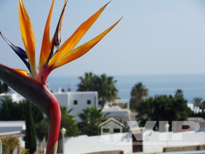 4 Habitaciones Dormitorio Villa en Mojacar Playa