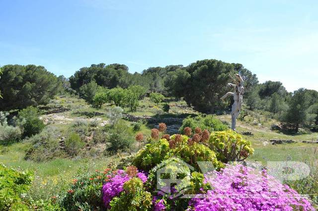 VIP7417: Ferme à vendre en El Pocico (Lubrin), Almería