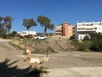 VIP7543: Terrain à vendre dans Villaricos, Almería